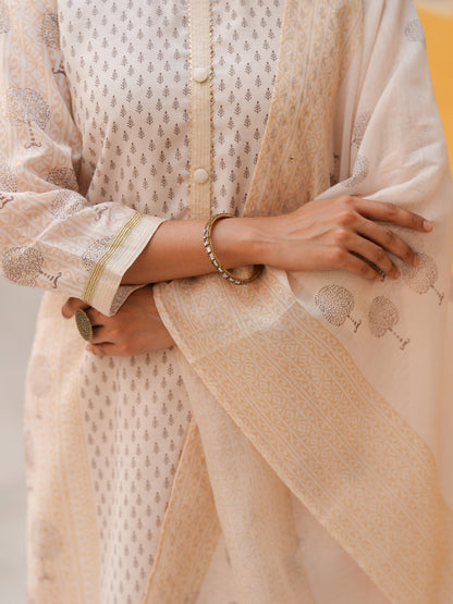 Women Ethnic Motifs Printed Regular Chanderi Cotton Straight Kurta Set